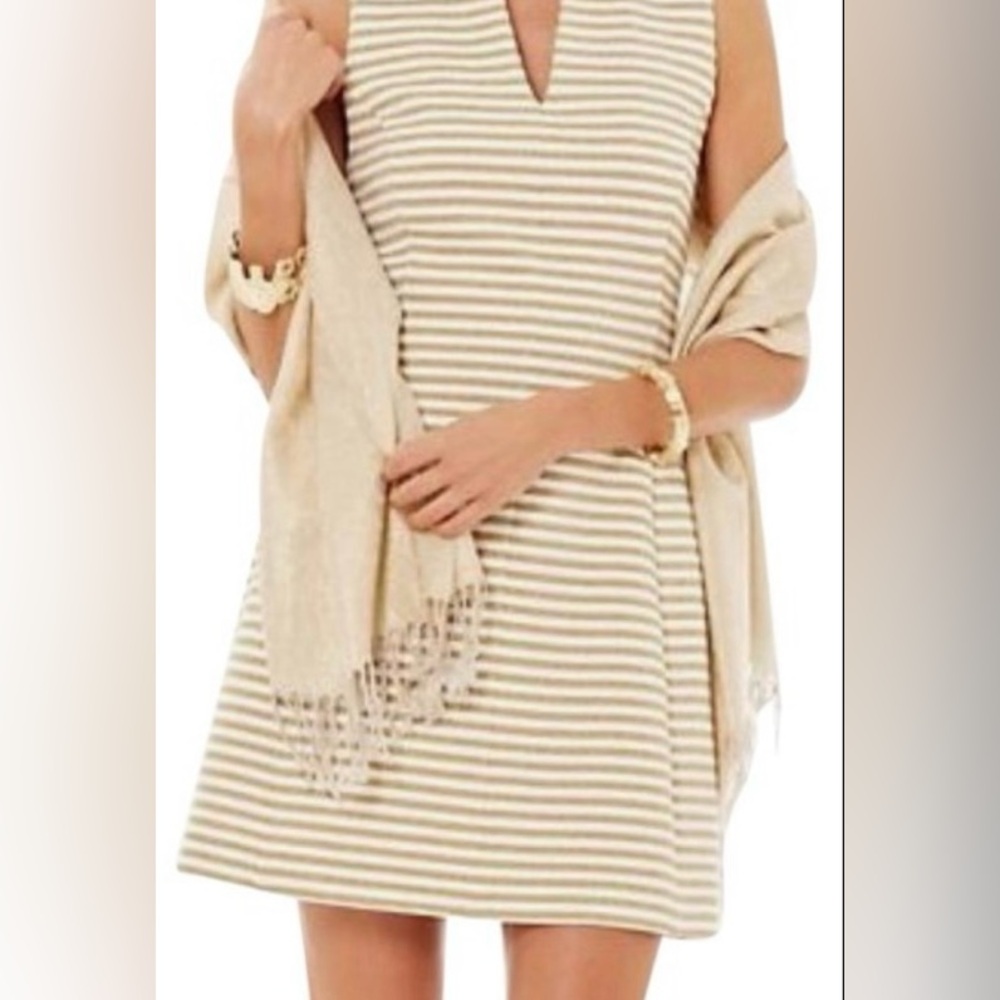 Lilly Pulitzer Tan and White Striped Mini Dress - Picture 2 of 14